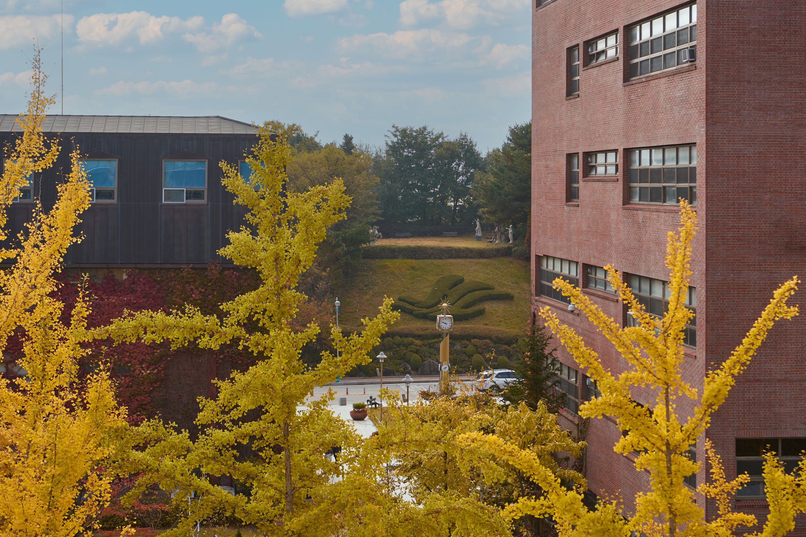 2024 한림의 가을5.jpg 첨부 이미지